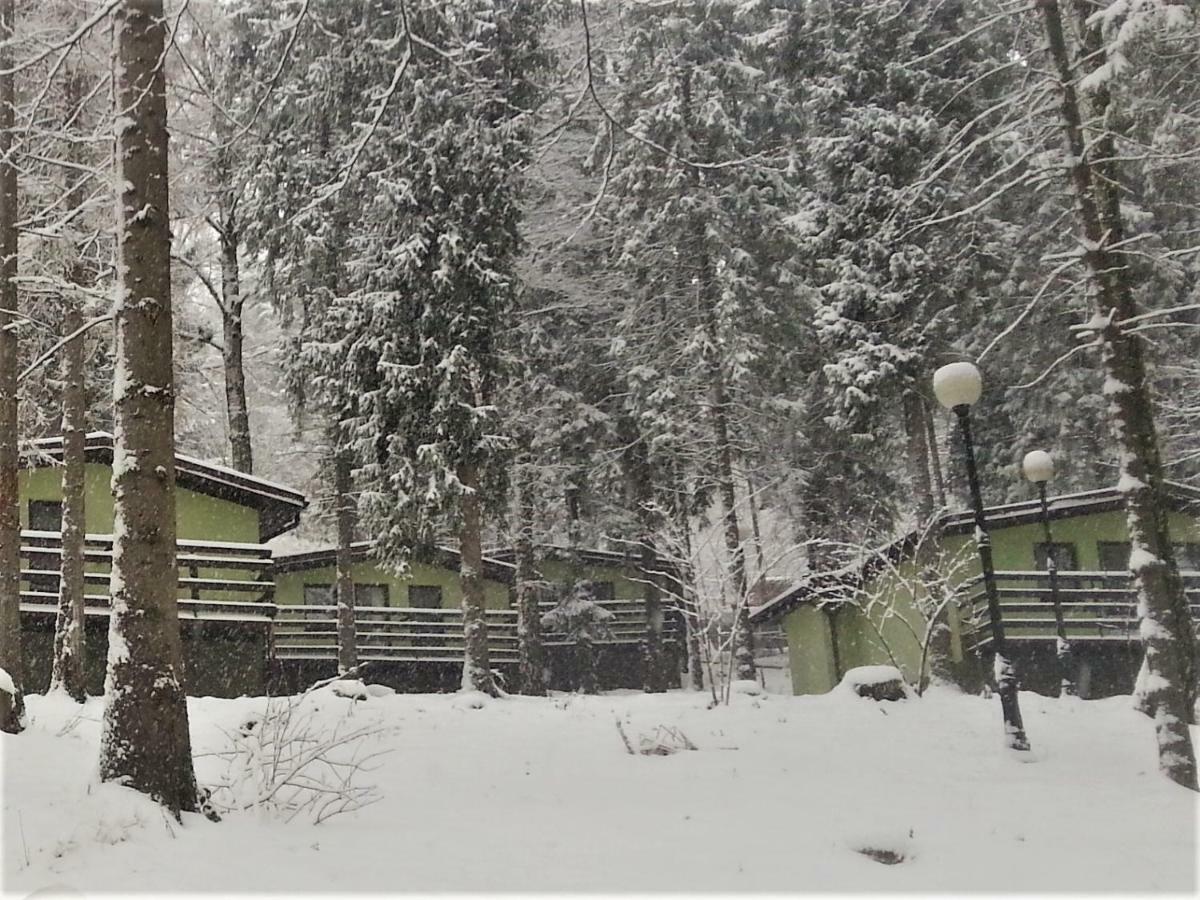 Kompleks Wypoczynkowo - Sportowy "Marysienka" Villa Międzybrodzie Bialskie Buitenkant foto