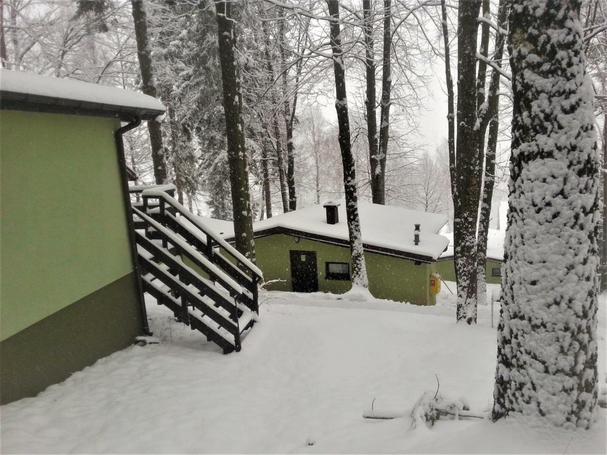 Kompleks Wypoczynkowo - Sportowy "Marysienka" Villa Międzybrodzie Bialskie Buitenkant foto